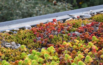 the cost of Babel Green green roof installation