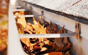 Babel Green gutter cleaning companies