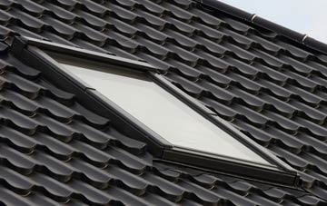 benefits of Babel Green roof windows