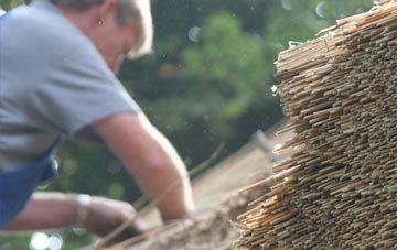 professional Babel Green thatchers