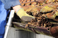 Babel Green gutter cleaners